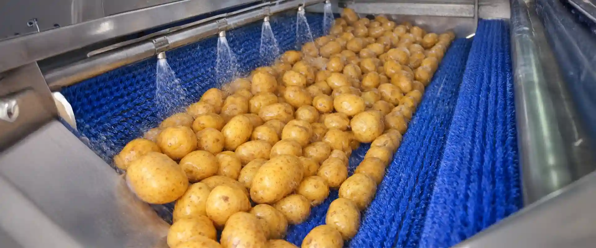Vegetable cleaning